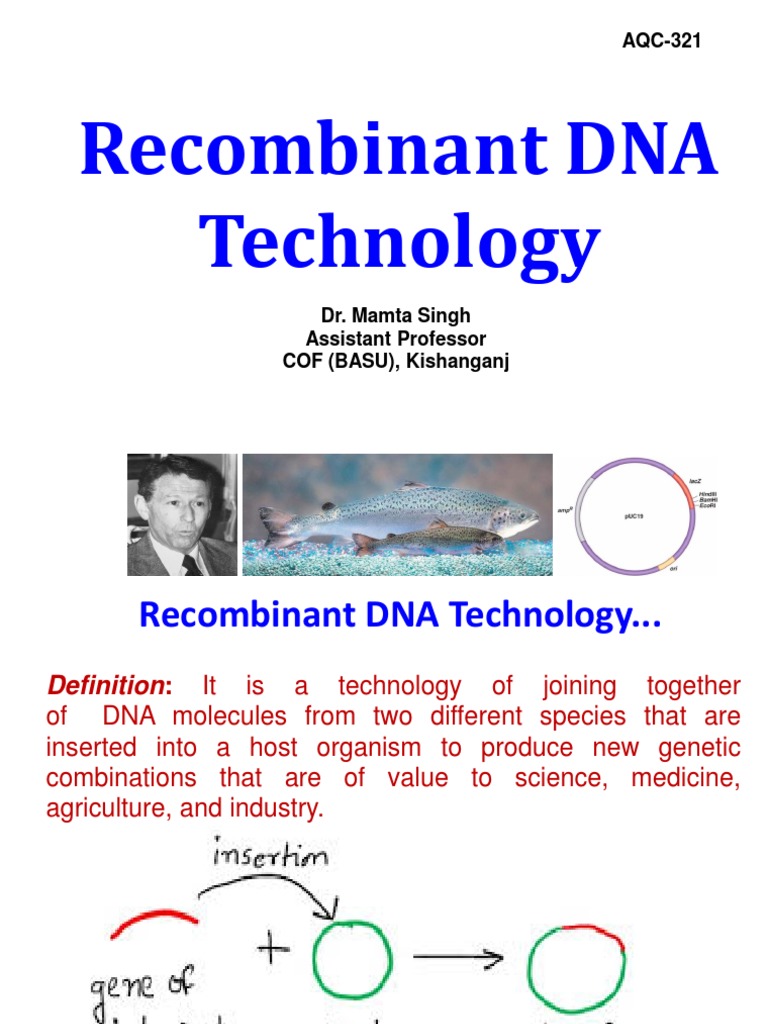Overview of Recombinant DNA Technology | PDF | Plasmid | Molecular Cloning