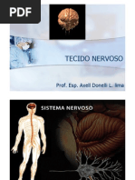 Histologia - Tecido Nervoso