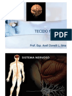 Histologia - Tecido Nervoso