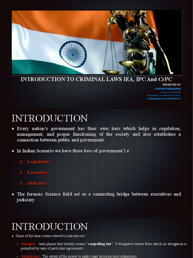 Introduction To Criminal Laws PDF Criminal Procedure In South