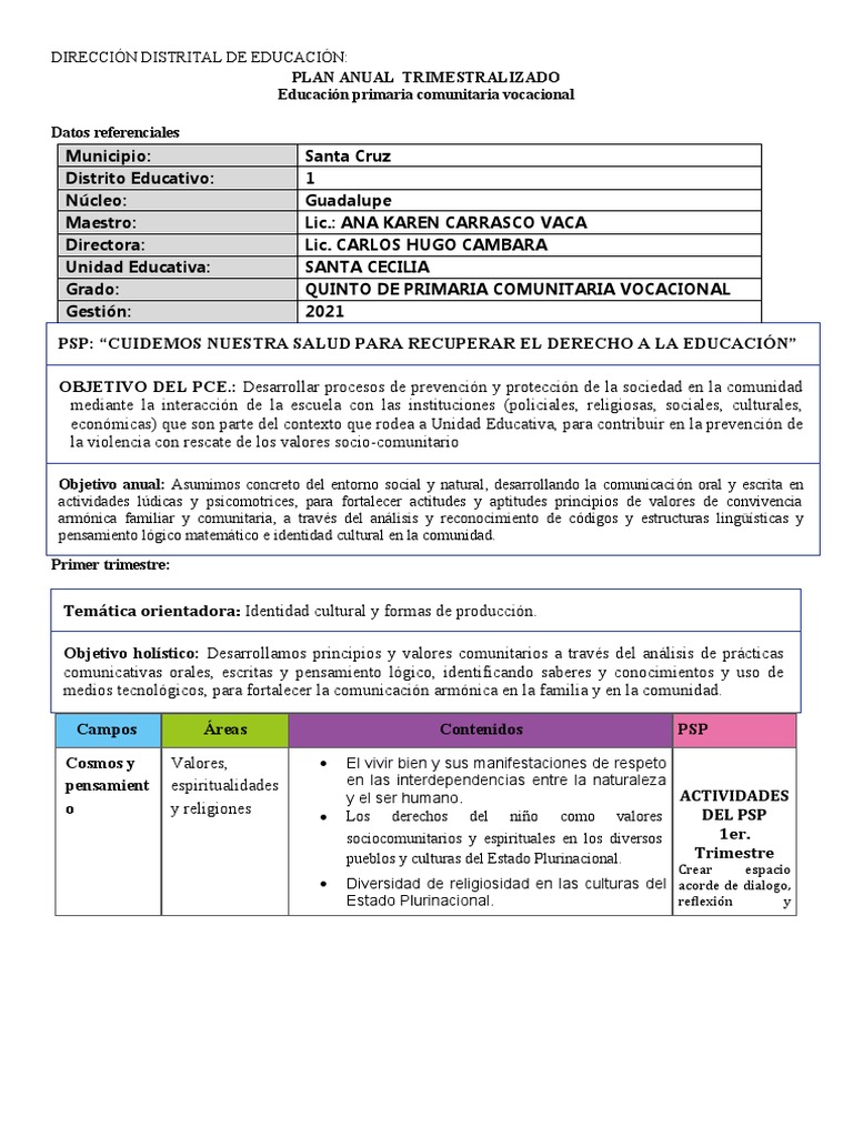 Plan Anual Quinto de Primaria 2025 | PDF | Bolivia | Educación primaria