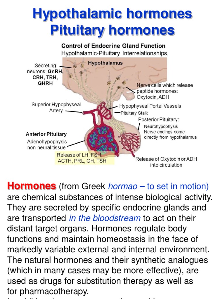 Transform Your Hormone Health Top Vitamins For Pituitary Function - f8juuvt