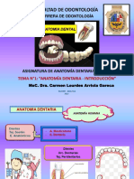 Tema N°1. Anatomía Dentaria - Introducción