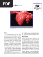 Patología en La Práctica