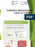 patologias_cervicales[1]