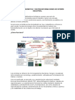 Biotecnología Enzimática y Biotransformaciones de Interés Industrial