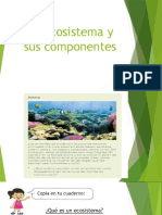 El Ecosistema y Sus Componentes