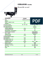 Toyama Ficha Tecnica GMG Gasolina 10,5kva TG12000 Cxe