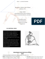 Locomocion Humana - Jasbleidy Rodriguez - (400004A - 1141)