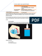 Radiología Eco Fast y E-Fast