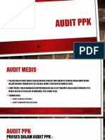 Audit PPK
