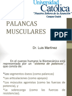 Palancas Musculares