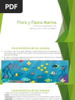 Clima del Norte Grande de Chile | PDF | Desierto | Clima