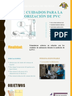 Guia de Cuidados para La Monitorización de PVC