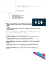 Plantilla - Resolución de Casos