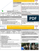 Sistema productivo de maíz genera ingresos