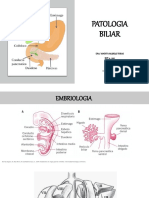 Patologia Biliar