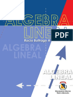 Algebra Lineal Algebra Lineal