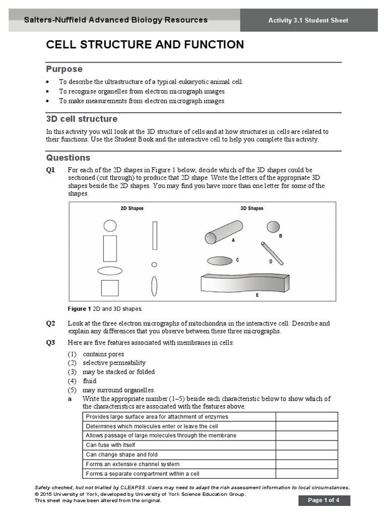 Cell Structure and Function: Purpose | PDF