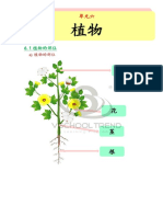 0c4fc 6. 植物 done