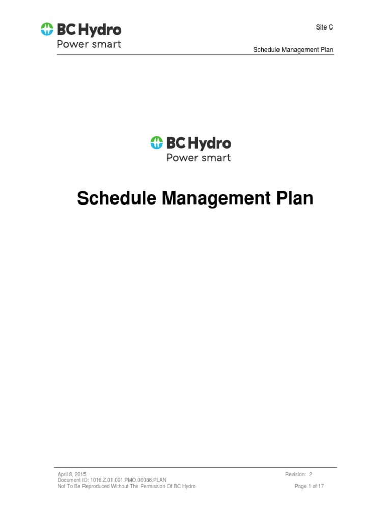 Appendix D Schedule Management Plan | PDF | Project Management | Business