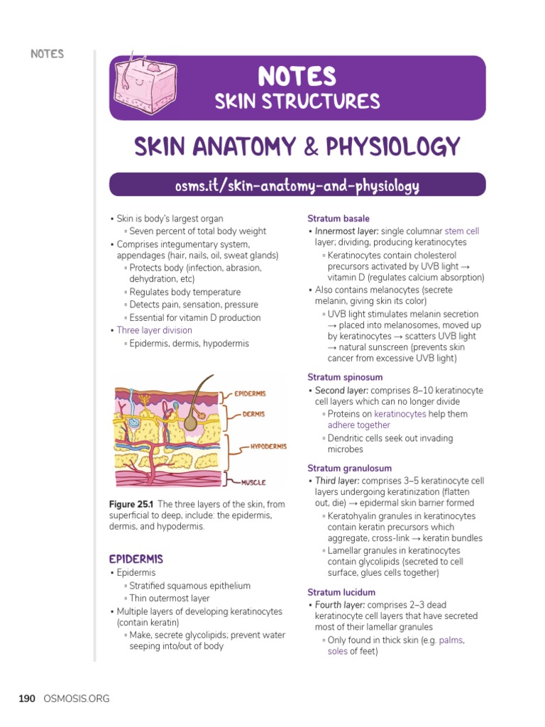 Osmosis Integumentary System PDF Wound Healing Skin