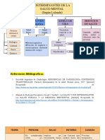 Determinantes de La Salud Mental