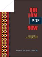 Quilombos da Amazônia: história, resistência e políticas públicas