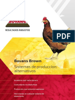 Bovans Brown CS Alternative Spanish Leaflet