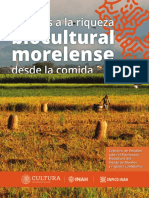 Miradas A La Riqueza Biocultural Morelense Desde La Comida - 2021