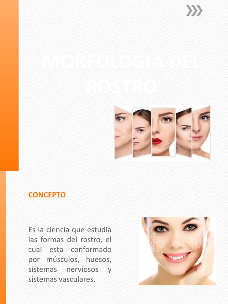 Morfologias Del Rostro - 3 | PDF