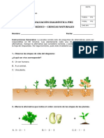 Evaluación diagnóstica de Ciencias Naturales para 1o Básico