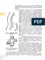 Biomecanica PTR Dizertatie