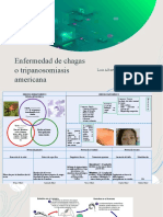 Historia Natural de La Enfermedad de Chagas