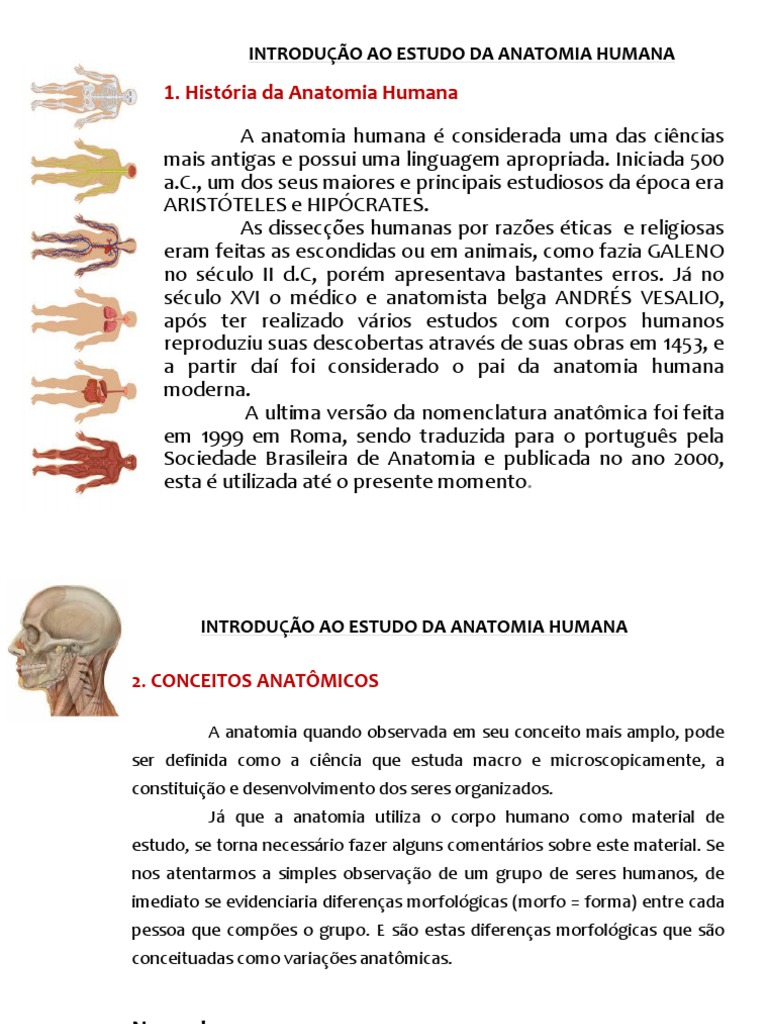 Guia Completo de Anatomia Humana | PDF | Anatomia | Humano