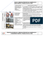 Analisis de Riesgo General Trabajo en Altura Mina Pecket