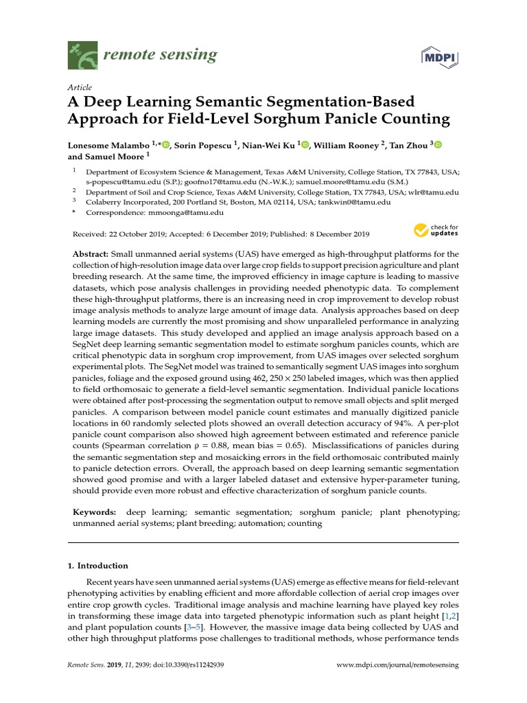 Remote Sensing: A Deep Learning Semantic Segmentation-Based Approach ...