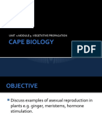 Cape Biology: Unit 1 Module 3: Vegetative Propagation