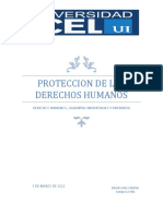 Proteccion de Los D.H.