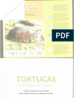 2007 - Tortugas Del Valle Del Cauca