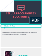 Clase 2 Celulas Procariontes y Eucariontes