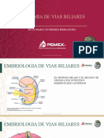 Anatomia y Fisiologia de Vias Biliares