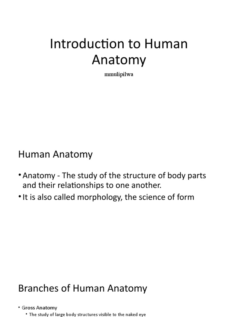 Overview of Human Anatomy Basics | PDF | Anatomical Terms Of Motion ...
