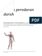 Sistem Peredaran Darah - Wikipedia Bahasa Indonesia, Ensiklopedia Bebas