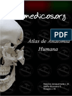 Atlas de Anatomia Humana