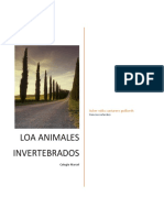 Loa Animales Invertebrados