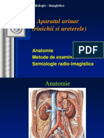 372632926-Curs-4-Aparat-Renal-Studenti-Curs-Radioimagistica