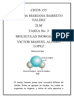 Moleculas Inorganic As y Organicas Del Cuerpo Humano