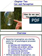 Chapter 2-Sensation and Perception-2