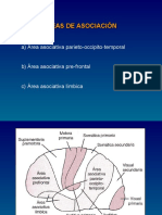 Medicina - Fisiologia Areas Asociacion